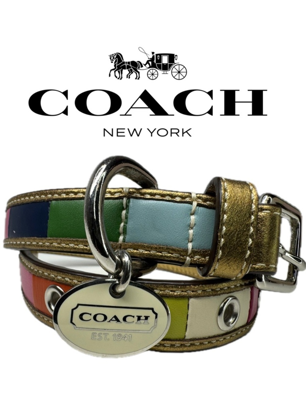 Coach Legacy Color Block Leather Y2K Vintage Rare Size Small Dog Collar